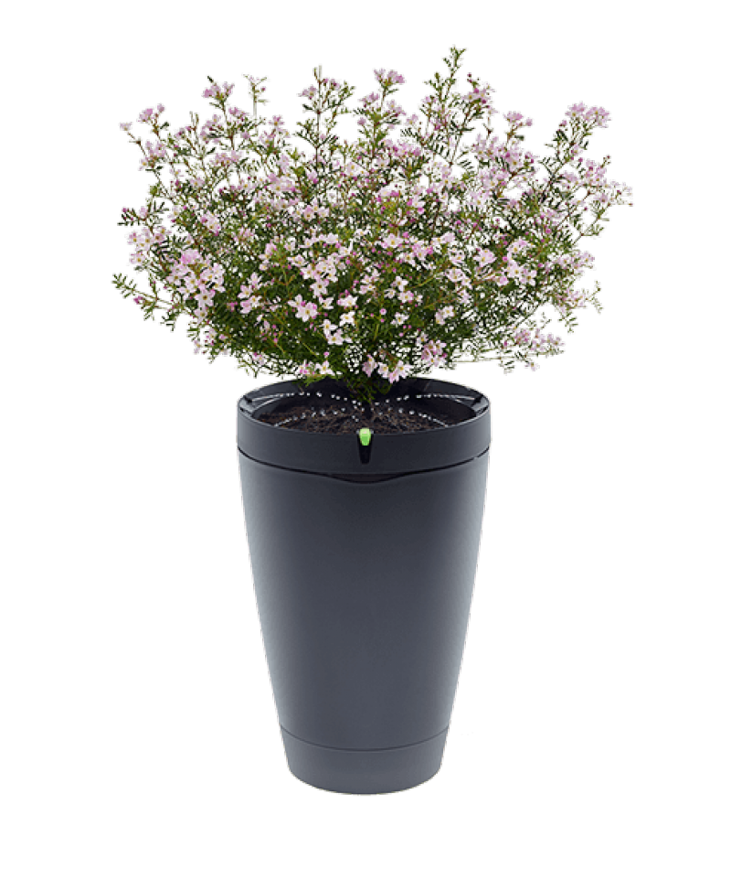 pot_black_noback_0_r