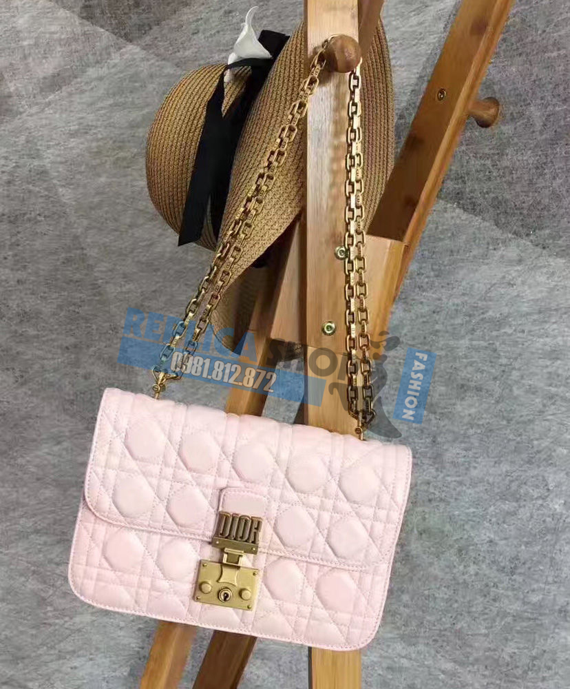 túi xách dioraddict