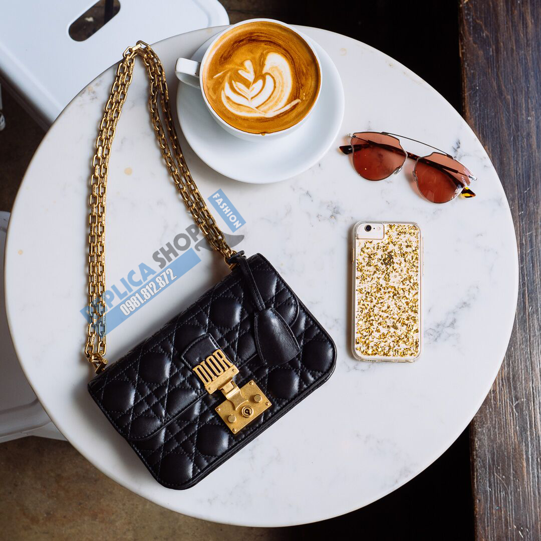 túi xách dioraddict