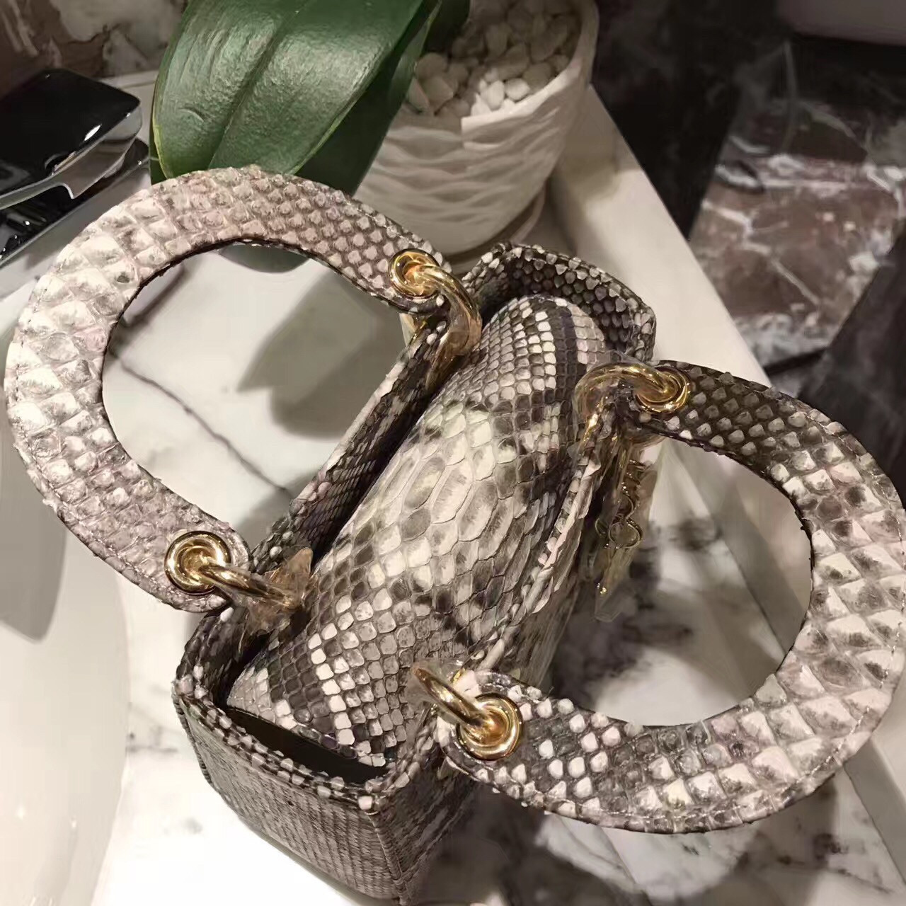 z676538651607_b2cc519e6204555d60338456b26e5f6e