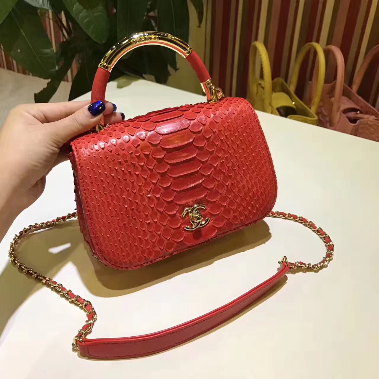 z691389179986_1d6ef946719f9b4076372a4322fc1c8c