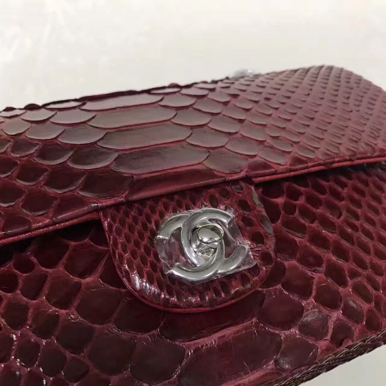 z703742355901_b11993bb9915f44c9972996e5f06f373