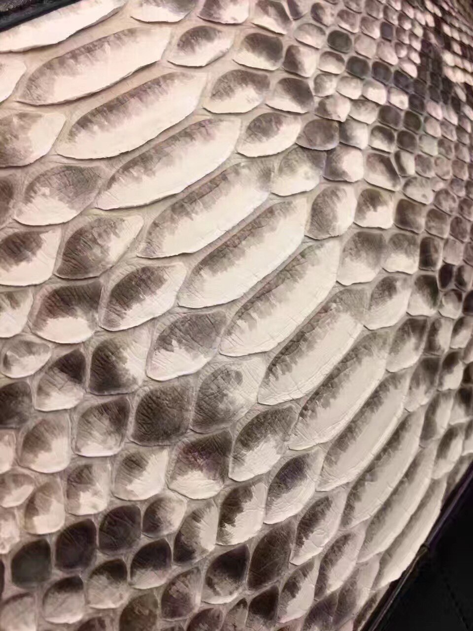 z717907451906_d3e38095c1558c422a6ade687228053a