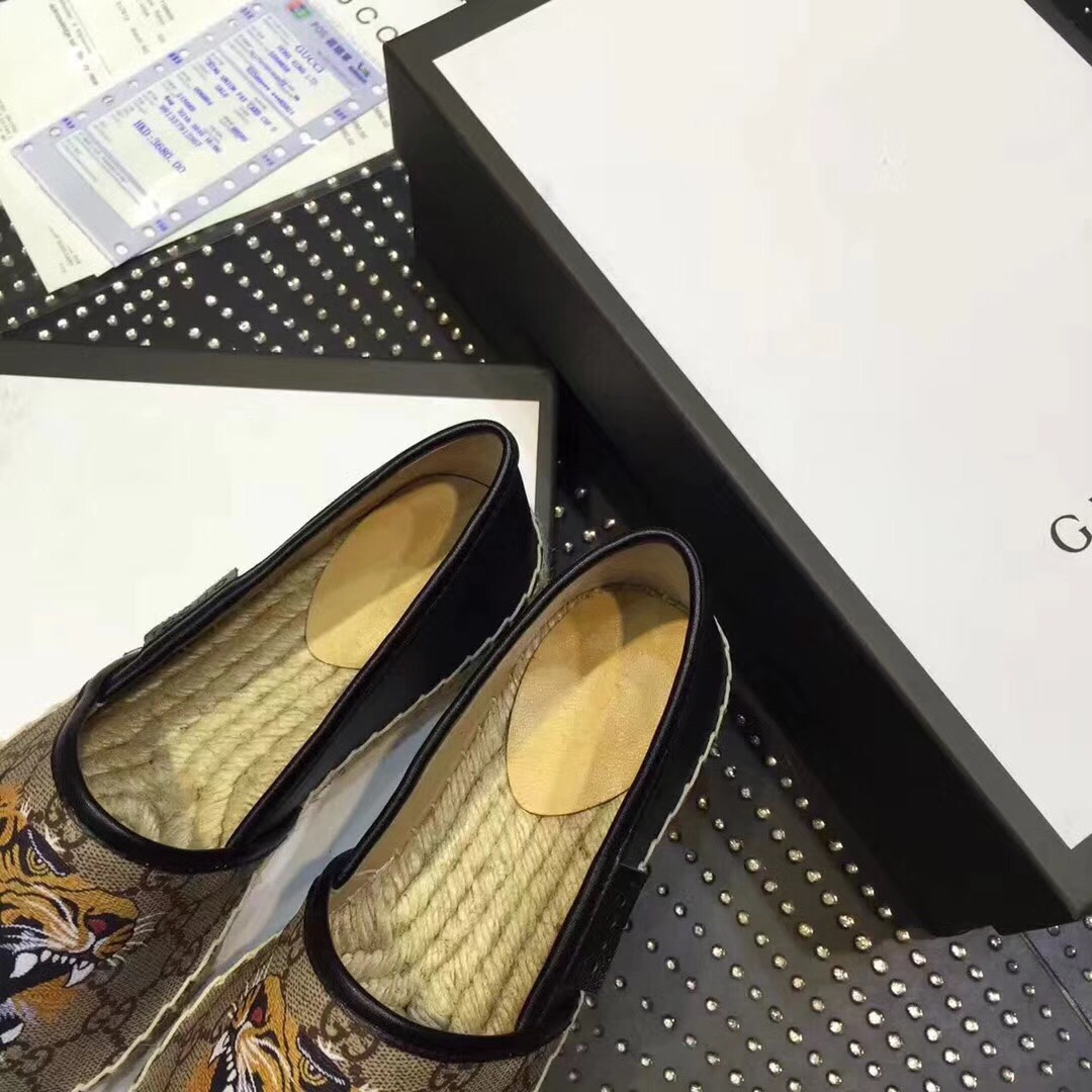 z1011455637719_65a71418e01625b2c0edae66c5291779