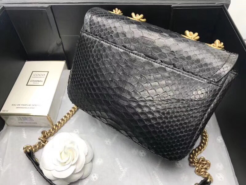 z1092274150332_ebc105d3d9abbbc20a4fabb1c271a839