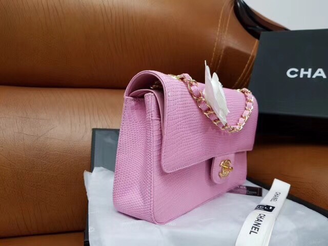 z966052651002_fb11d8849304e76446439c806d281f57