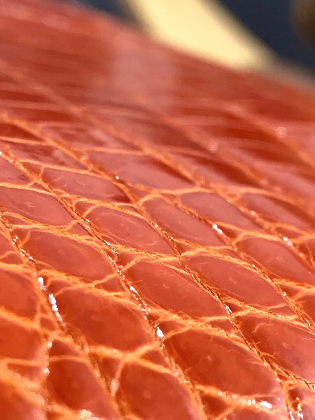 z1133055024679_6f33b8a9873b38d2e91d0df0bd78b007