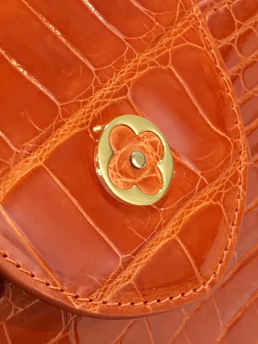 z1133055025680_d989473f311e42452b4c2d75d8e6f2fb