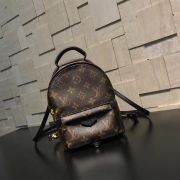 Túi xách Louis Vuitton siêu cấp VIP -TXLV307
