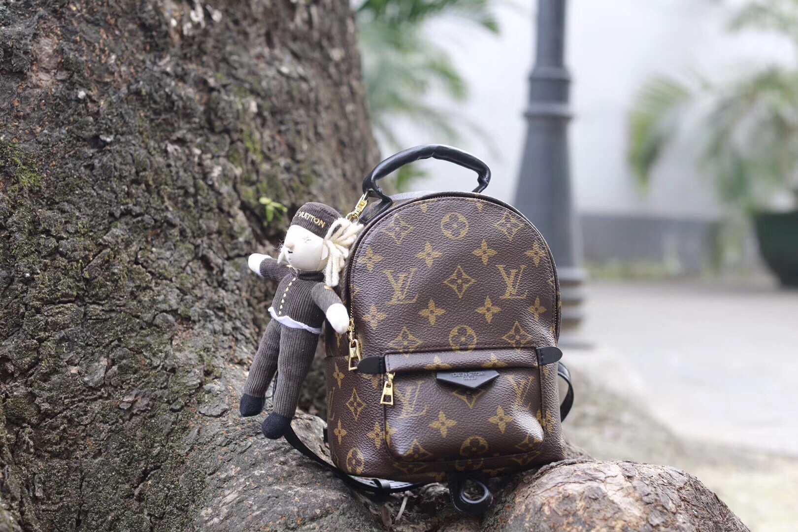 z1184442054449_c9eeadef6da64d01f80b7a0998fd8c41