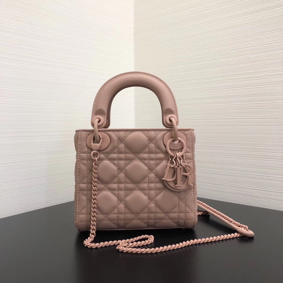 Túi Xách Nữ Dior Siêu Cấp RLCDO0194