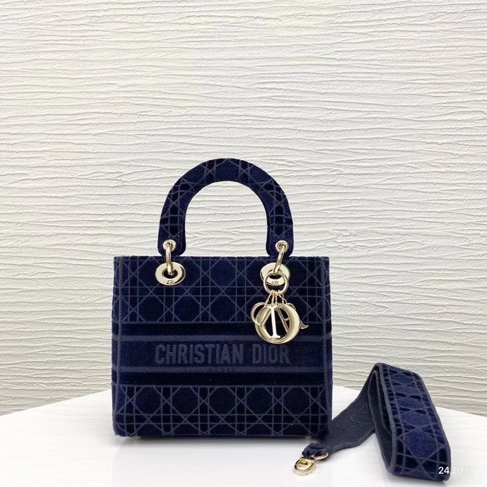 Túi xách nữ Dior Siêu Cấp RLCDO0624