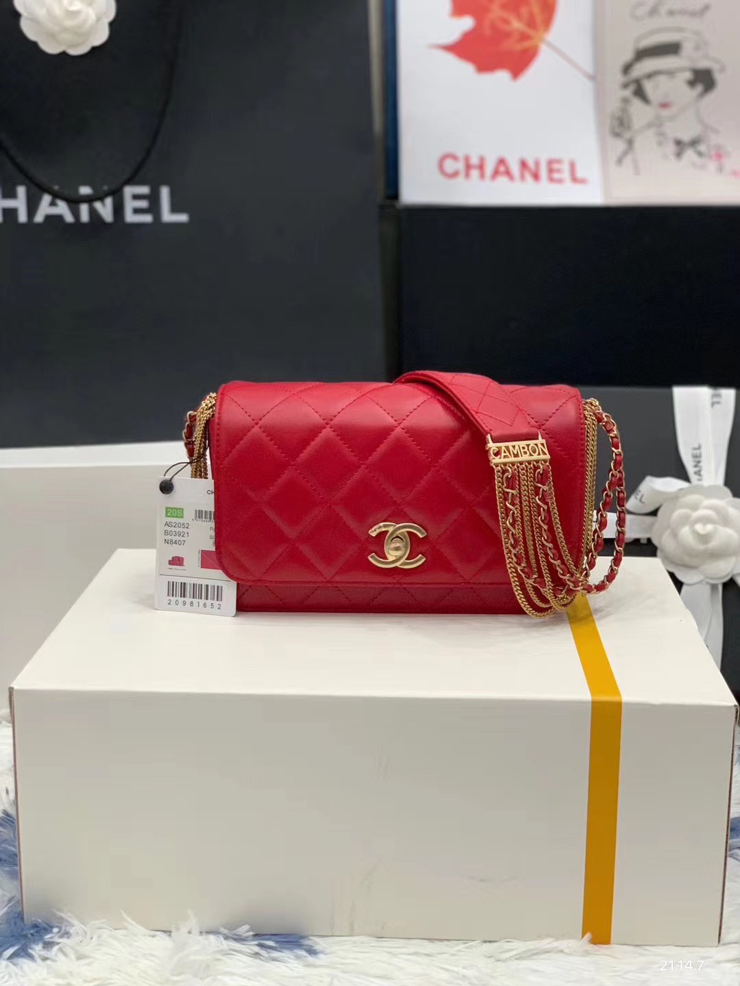 z2203104476894_339ef571b25eadd89e5bef4c44fc7894