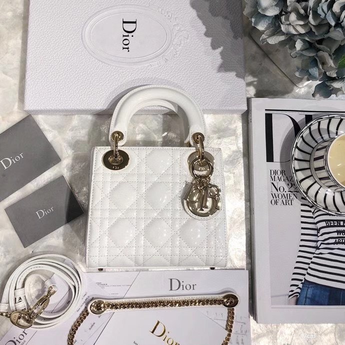 Túi xách nữ Dior Siêu Cấp RLCDO0826