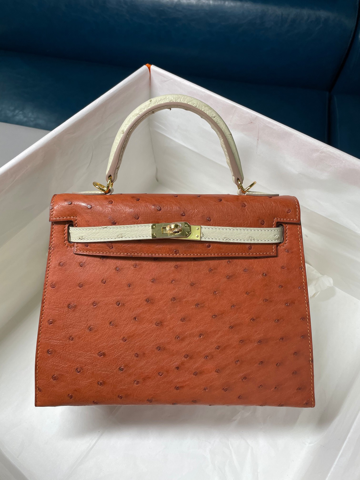 Túi xách nữ Hermes Siêu Cấp RLCHM1013