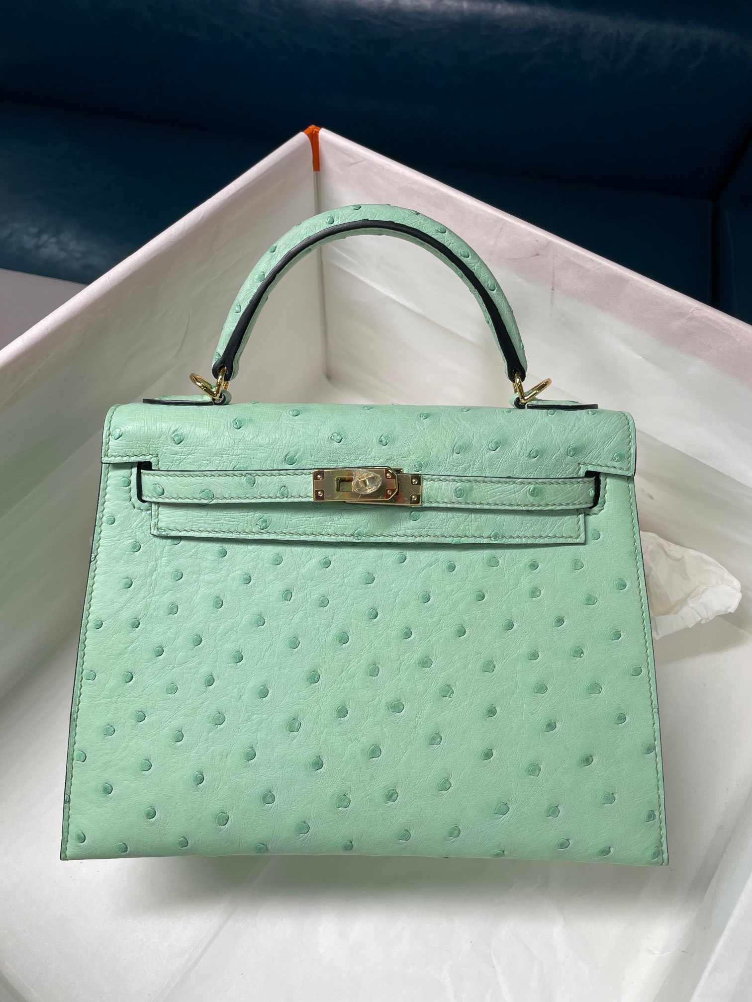 Túi xách nữ Hermes Siêu Cấp RLCHM1009