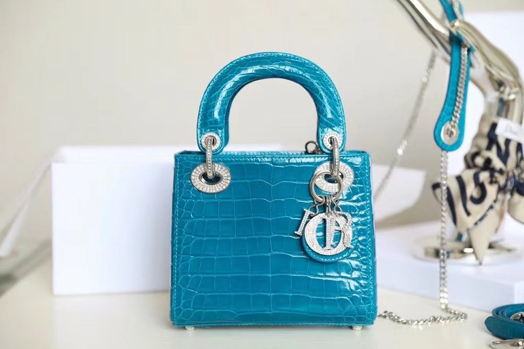 Túi xách nữ Dior Siêu Cấp RLCDO1178