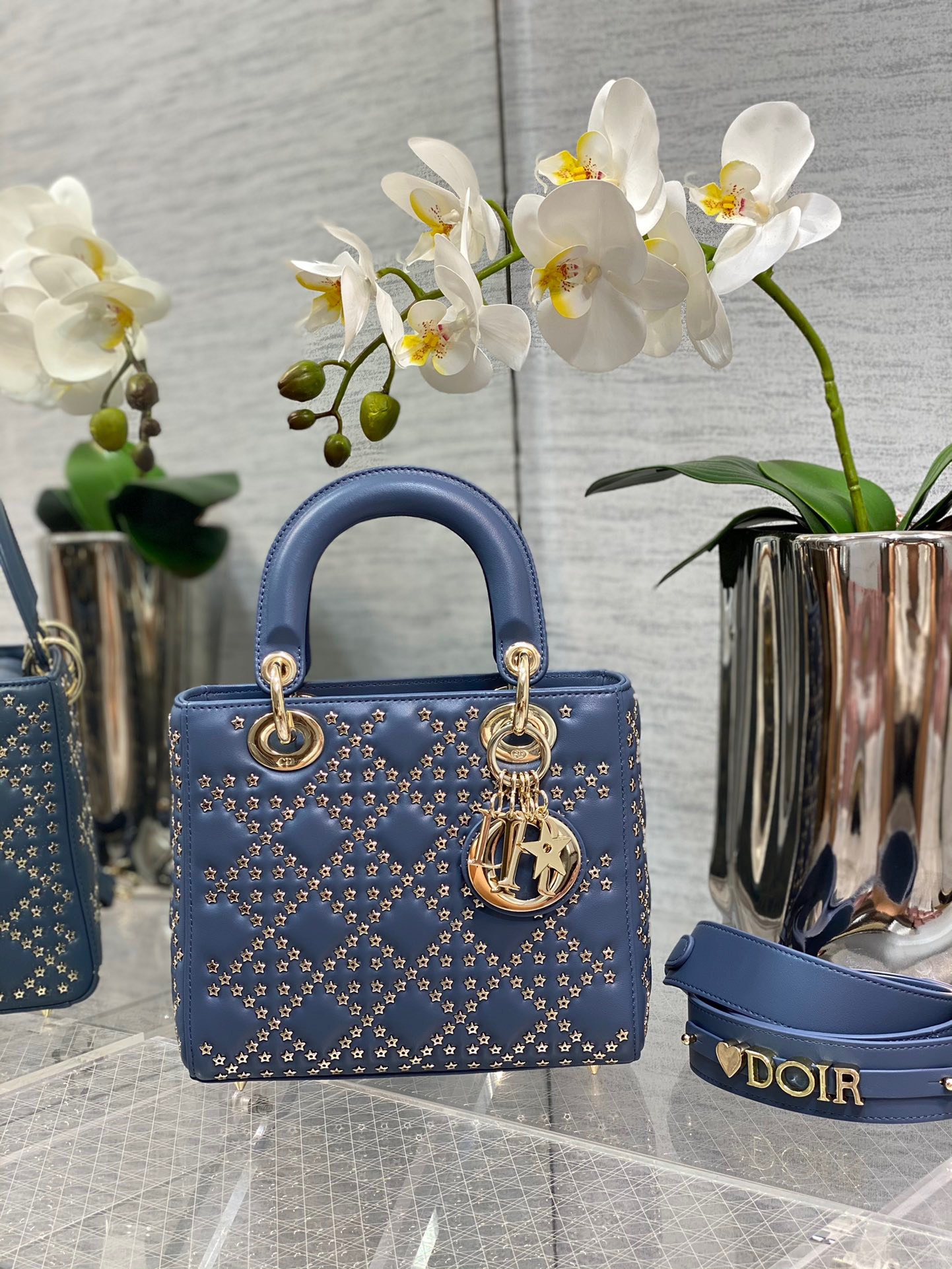 Túi xách nữ Dior Siêu Cấp RLCDO2406