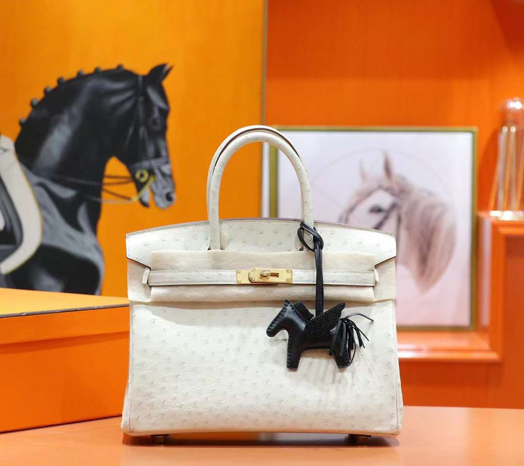 Túi xách nữ Hermes Siêu Cấp RLCHM2512