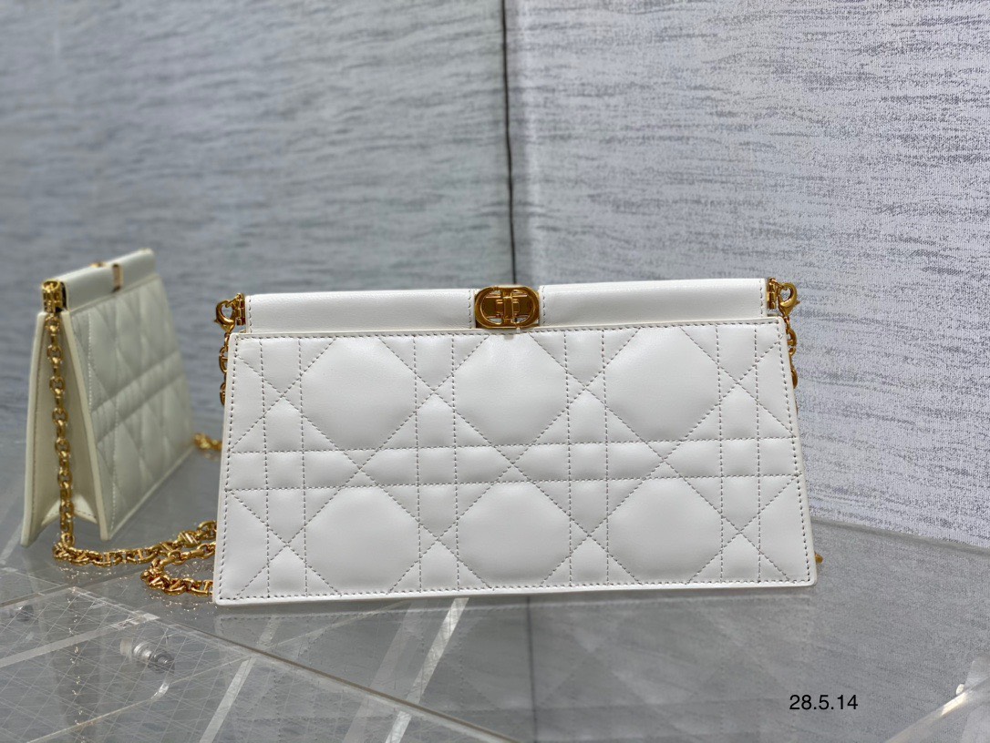 Túi xách Dior Siêu Cấp RLCDO2768