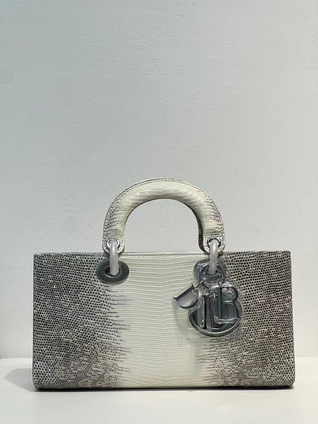 Túi xách Dior Siêu Cấp RLCDO2774