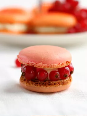 Macaron dừa