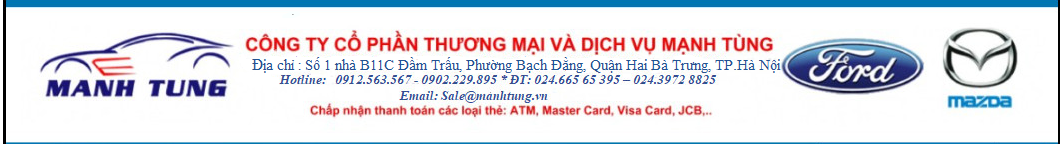 CÔNG TY CỔ PHẦN THƯƠNG MẠI VÀ DỊCH VỤ MẠNH TÙNG