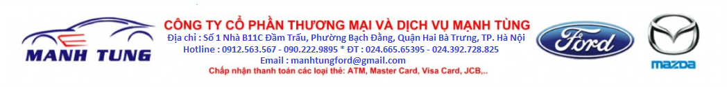 CÔNG TY CỔ PHẦN THƯƠNG MẠI VÀ DỊCH VỤ MẠNH TÙNG