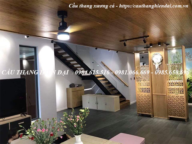 cau-thang-xuong-ca-sat