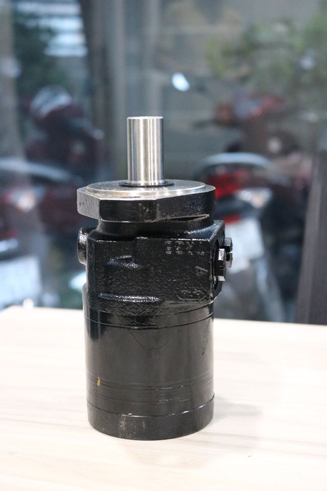 Motor thuỷ  lực TE0195AS260AAAG