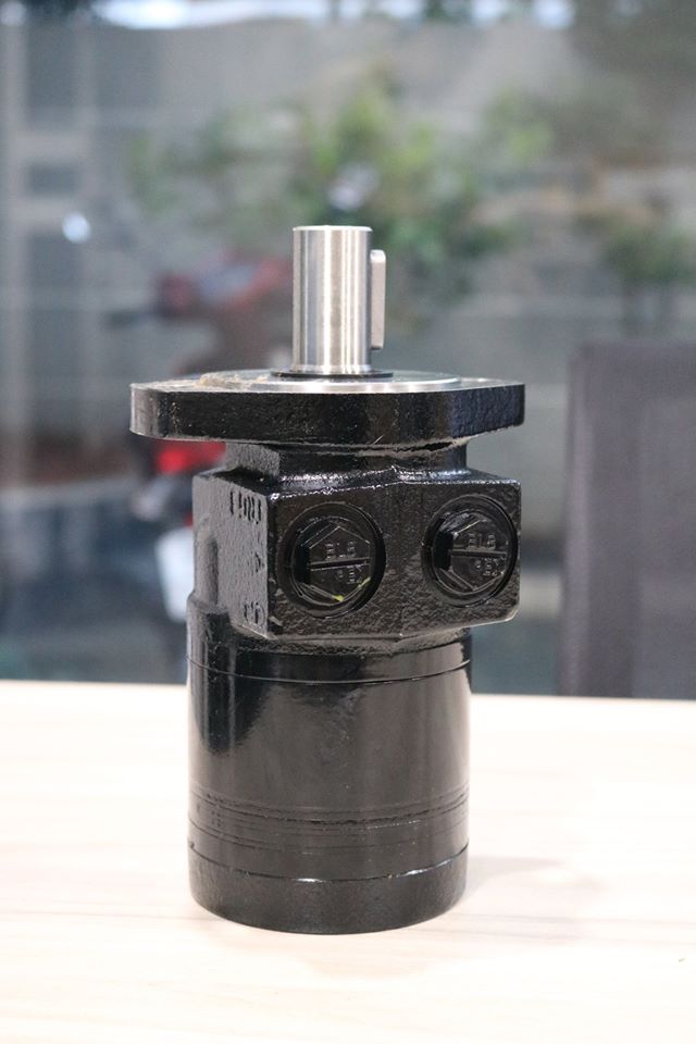 Mô tơ thuỷ lực TE0195AS260AAAG