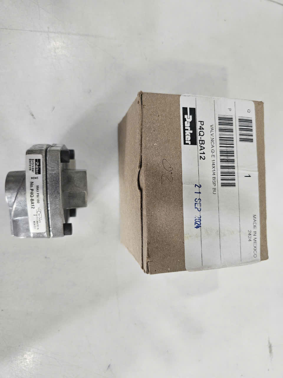 P4Q-BA12 Exhaust valve