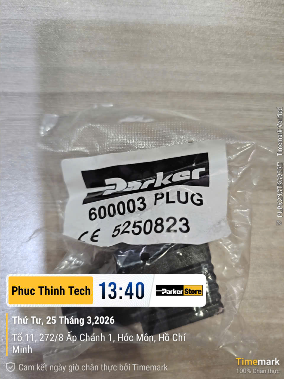 600003PLUG