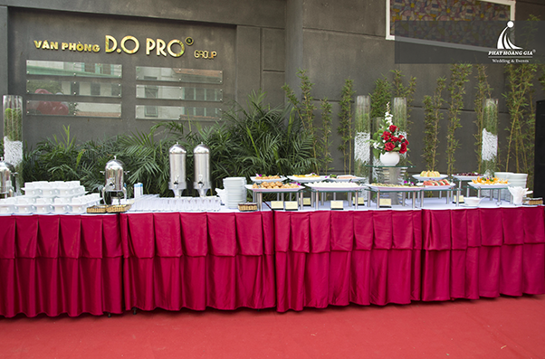 khai trương công ty d.o pro