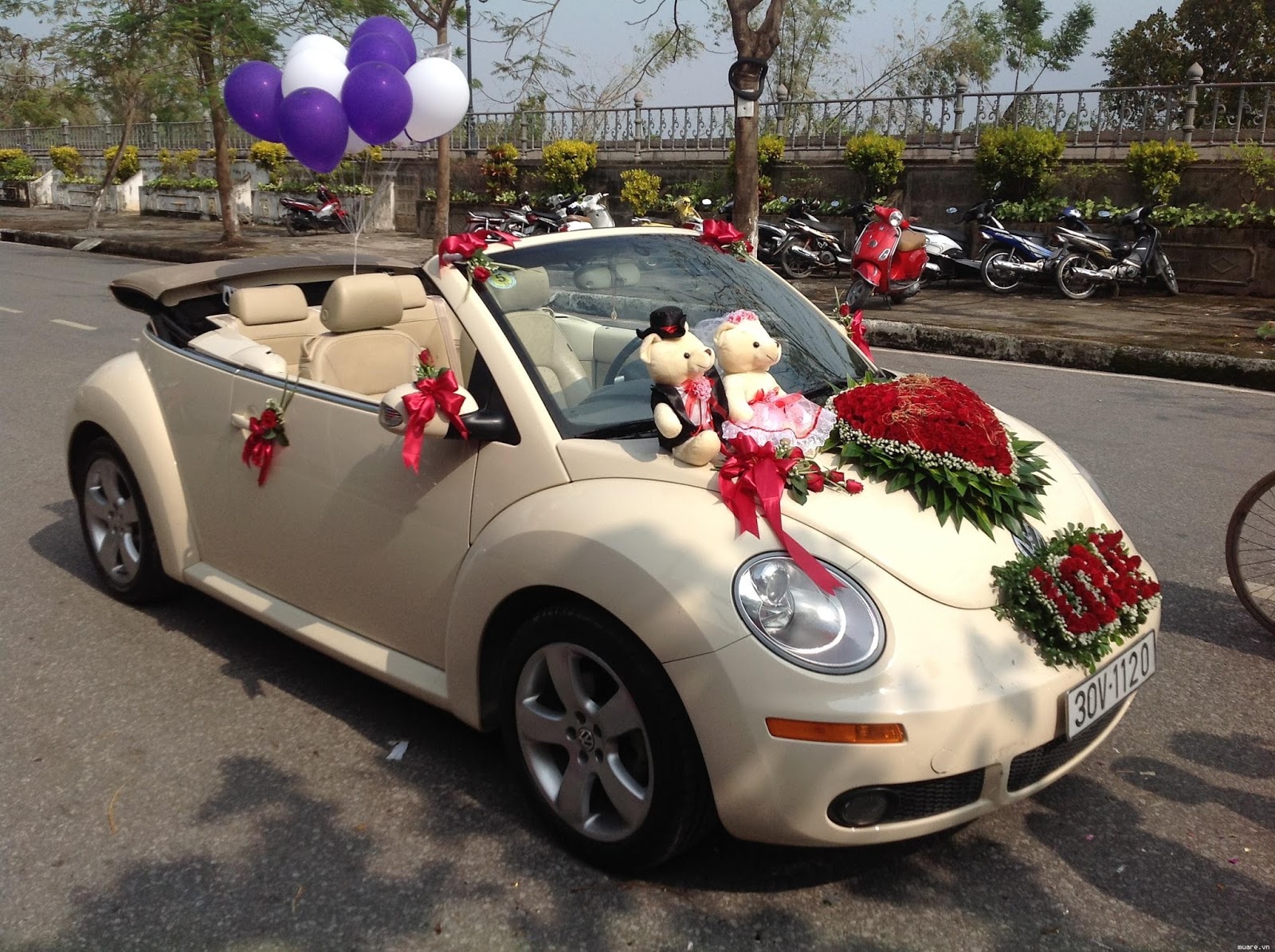 trang trí xe hoa ngày cưới 8