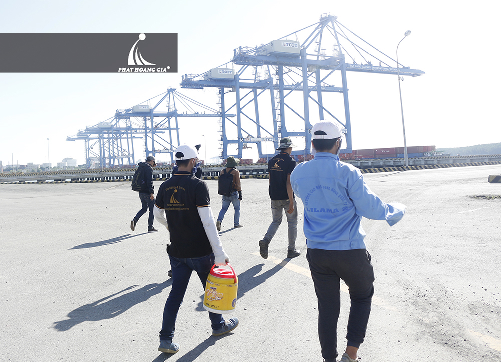 tàu genting dream vào Việt Nam 18