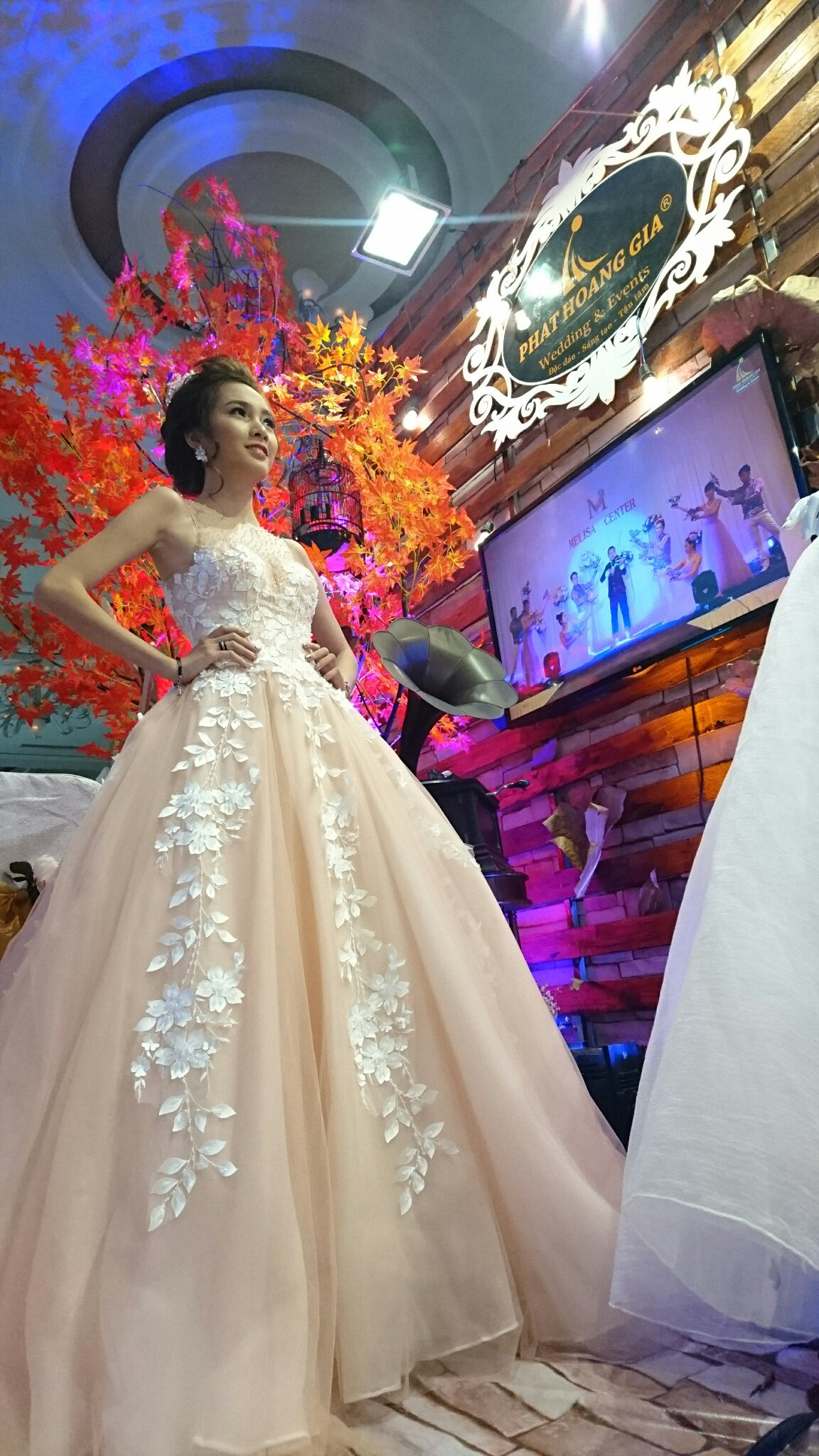 triển lãm cưới tình thu 3