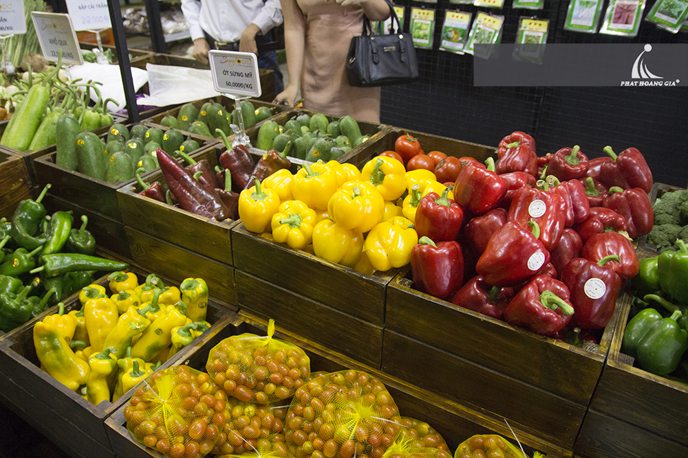 Lễ Khai trương cửa hàng Thực phẩm an toàn Sunfood 
