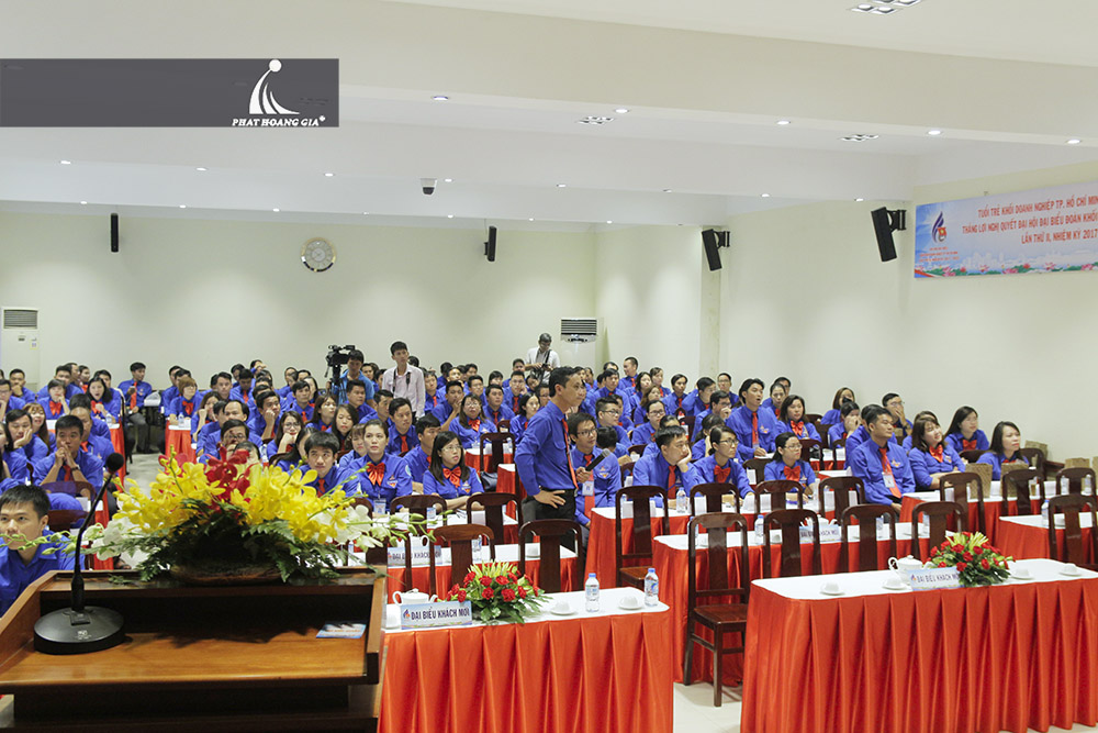 đại hội đại biểu đoàn tphcm 8