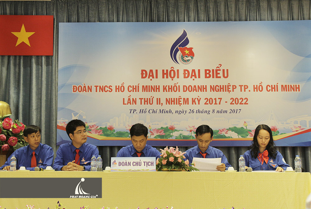 đại hội đại biểu đoàn tphcm 19