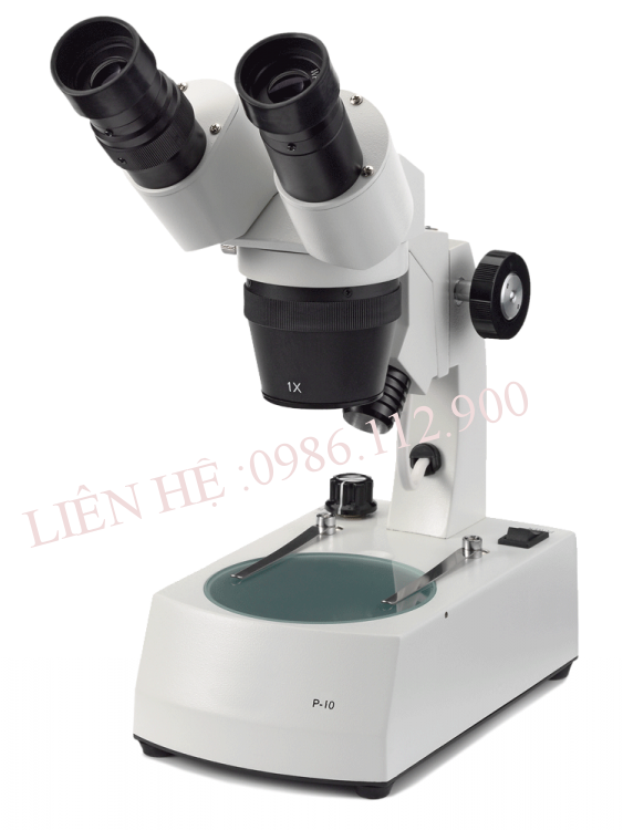 Kính hiển vi soi nổi EUROMEX NOVEX P-20