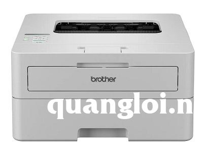 Brother HL-B2100D