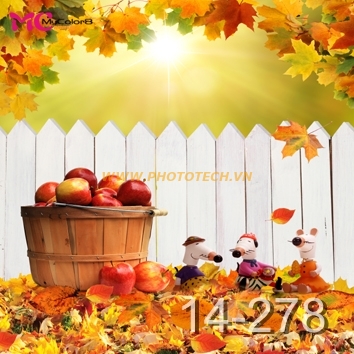 14- 278