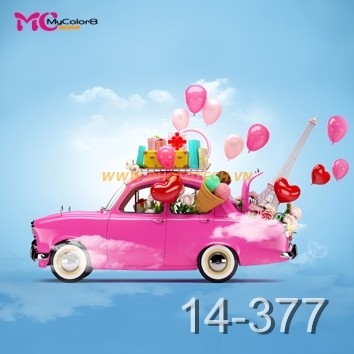 14 - 377