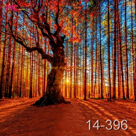 14 - 396