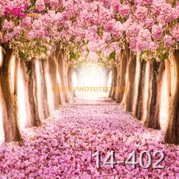14 - 402