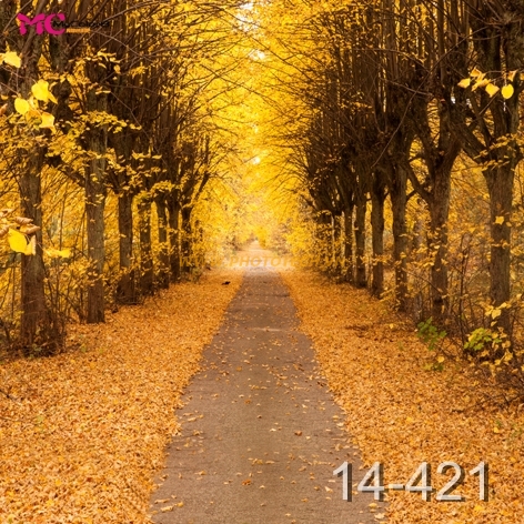 14 - 421