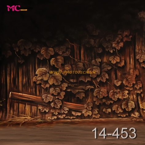 14 - 453