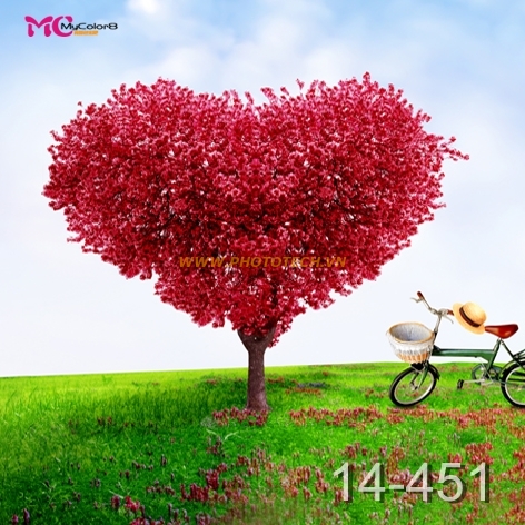 14 - 451