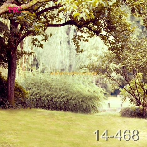 14 - 468